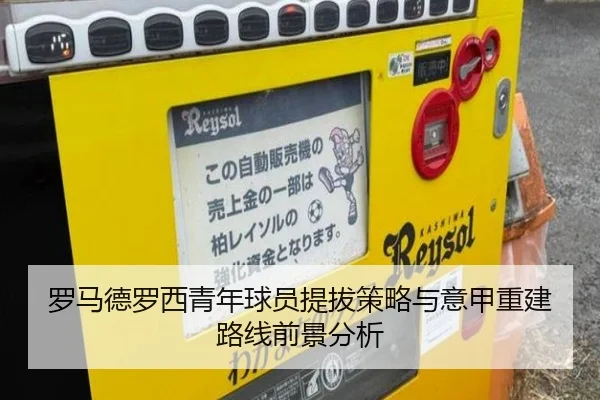 罗马德罗西青年球员提拔策略与意甲重建路线前景分析