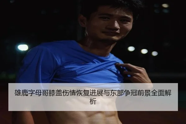 雄鹿字母哥膝盖伤情恢复进展与东部争冠前景全面解析
