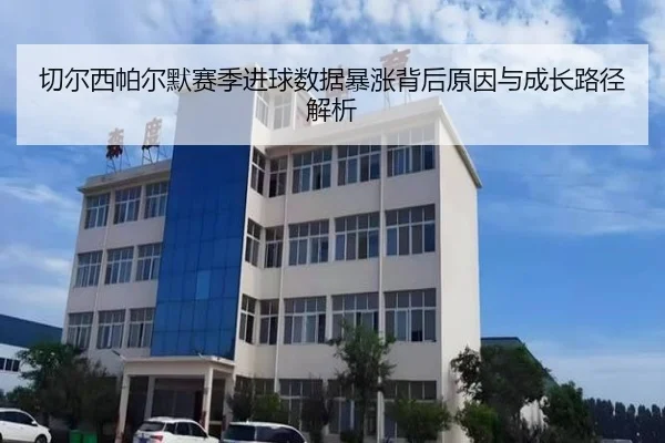 切尔西帕尔默赛季进球数据暴涨背后原因与成长路径解析